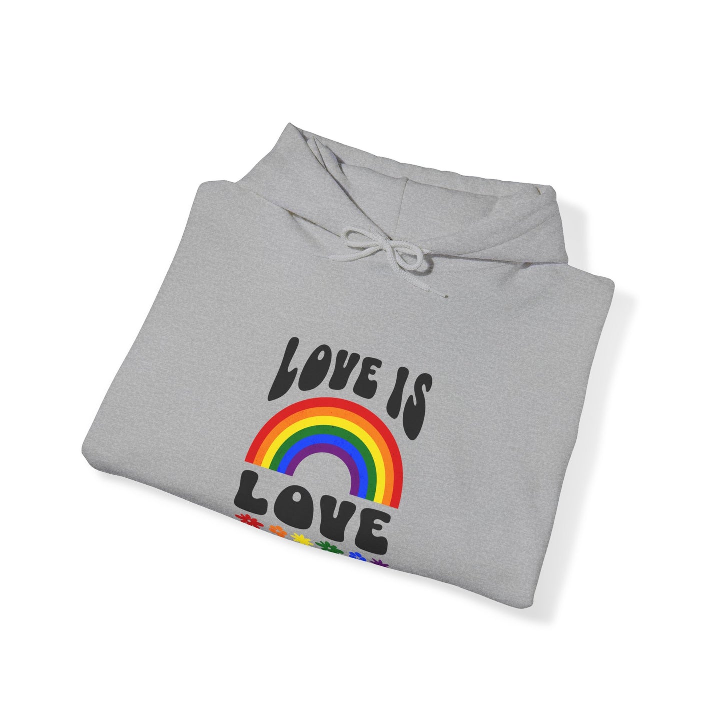 LGBT Pride Love is Love Hooded Sweatshirt LGBTQ PRIDE